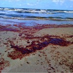 Scientists Confirm Underwater Plumes Are From Spill