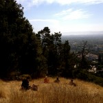 Reading, writing and realizing nature: explore your local place this holiday season